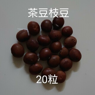 【自然栽培】茶豆枝豆の種20粒②(野菜)