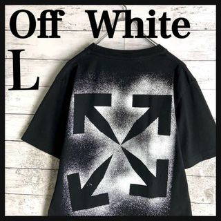 9540【QR正規品確認済み】オフホワイト☆バックプリント人気カラーtシャツ美品