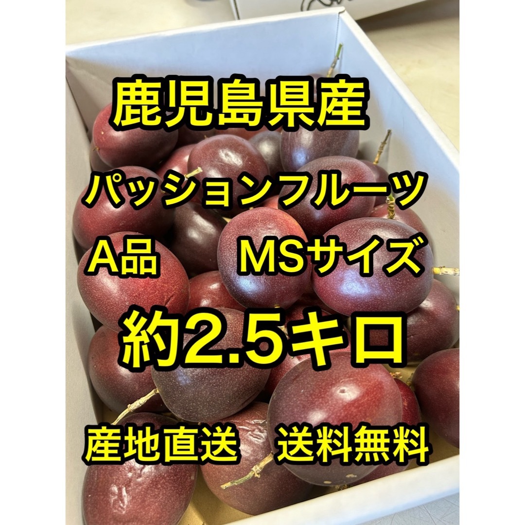 鹿児島県産　産地直送 パッションフルーツA品　MSサイズ　約2.5キロ 食品/飲料/酒の食品(フルーツ)の商品写真