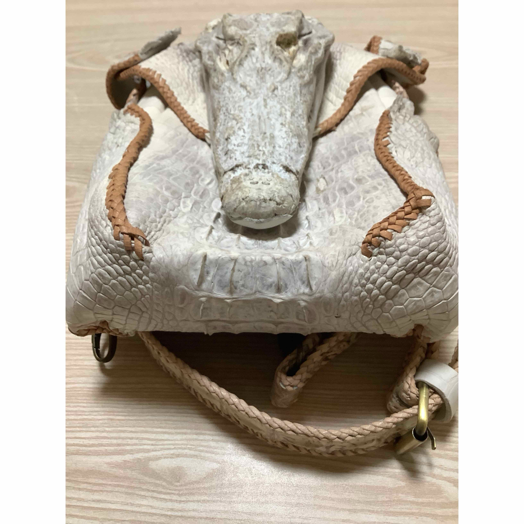 本物 新品 》 ヒマラヤ クロコダイル クロコ 鰐 剥製 ショルダー 本物 新品 》 ヒマラヤ クロコダイル クロコ 鰐 剥製 ショルダー