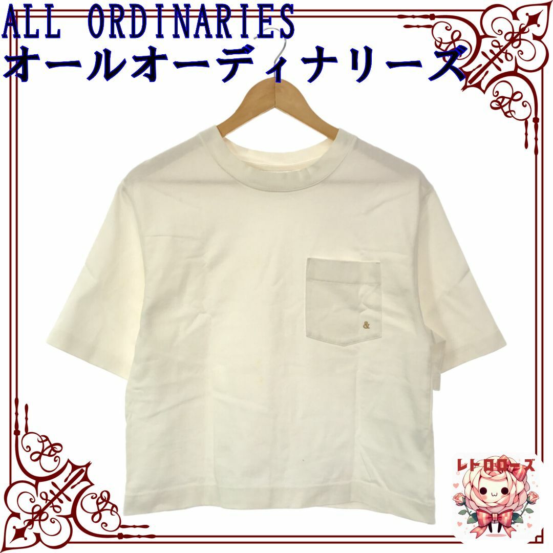 ALL ORDINARIES(オールオーディナリーズ)のALL ORDINARIES オールオーディナリーズ トップス Tシャツ レディースのトップス(Tシャツ(半袖/袖なし))の商品写真