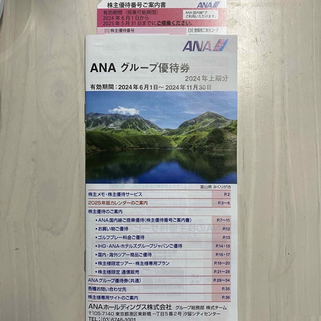 ANA 株主優待券 1枚 チケットの優待券/割引券(その他)の商品写真
