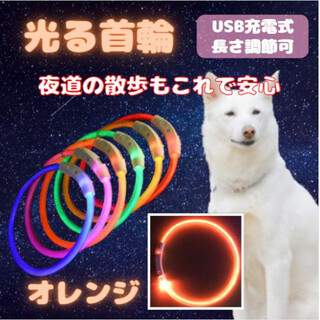 光る 首輪 オレンジ LEDライト USB充電 犬 ドッグ おしゃれ 夜の散歩(犬)