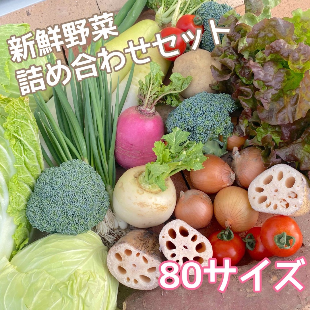 【新鮮！美味しい！】季節の採れたて野菜 詰め合わせセット 80サイズ 食品/飲料/酒の食品(野菜)の商品写真