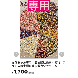 フランス🌹 友人名古屋社長夫人私物　フランスの金運を呼ぶ激カワチャーム(その他)