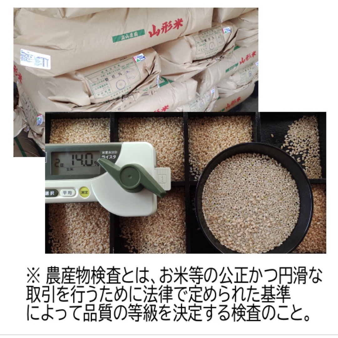 リピ専用　白米お米　コシヒカリ10kg 特別栽培米　山形県産　甘くてふっくら 食品/飲料/酒の食品(米/穀物)の商品写真