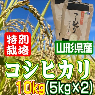 リピ専用　白米お米　コシヒカリ10kg 特別栽培米　山形県産　甘くてふっくら(米/穀物)