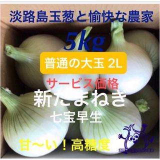 淡路島産新玉ねぎ 普通の大玉2L 5kg 高糖度 新たまねぎ(野菜)