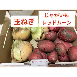 野菜セット　玉ねぎ　じゃがいも（レッドムーン）(野菜)