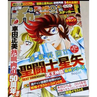 アキタショテン(秋田書店)の聖闘士星矢    週刊少年チャンピオン   24号   付録応募券無(少年漫画)