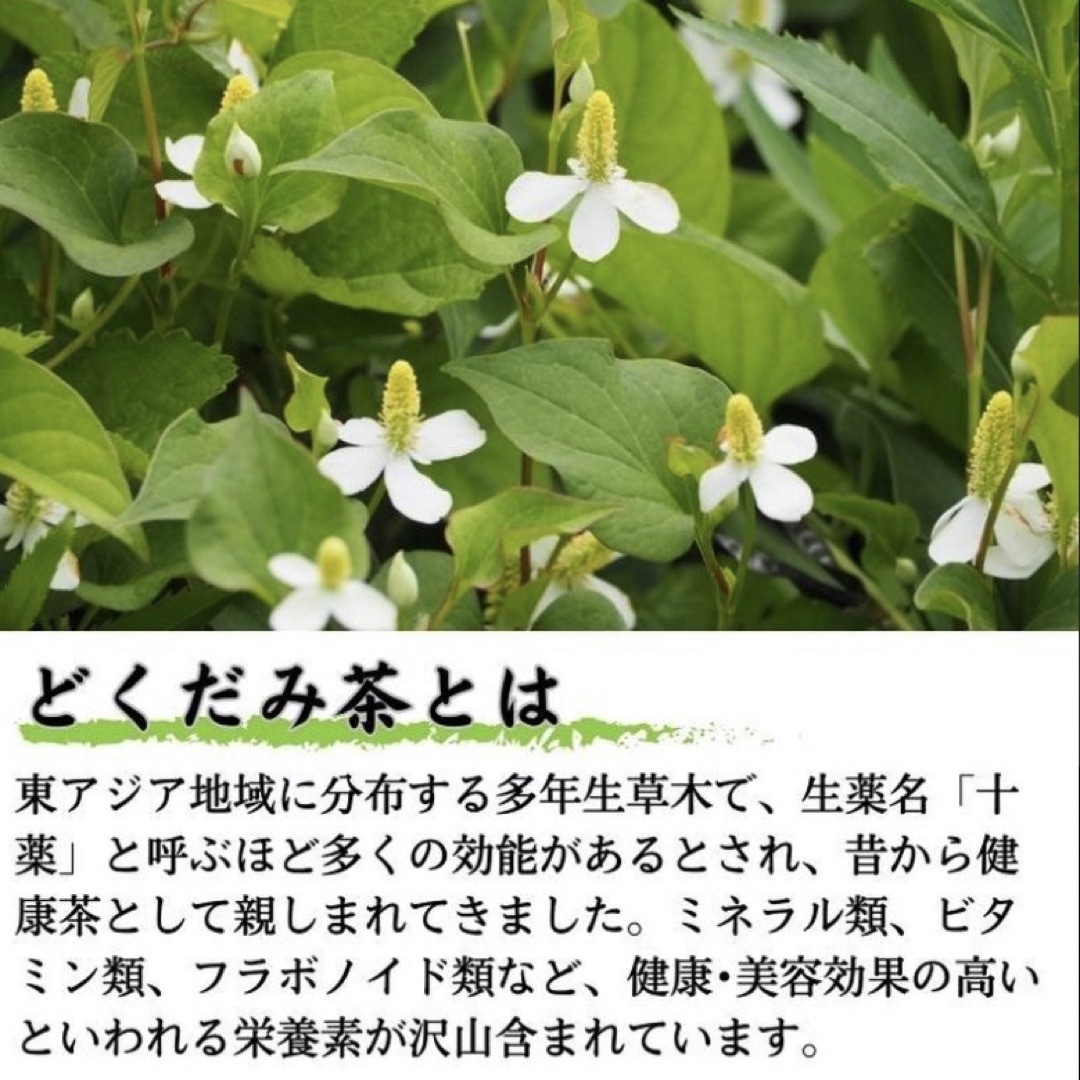 【どくだみ茶&松葉茶】野草茶 健康茶 お茶 ハーブ ビタミン ポイント消化 食品/飲料/酒の飲料(茶)の商品写真