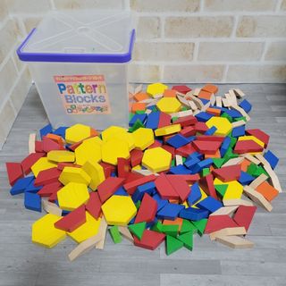 チャイルド・アイズ　パターンブロック　★249pcs★(知育玩具)