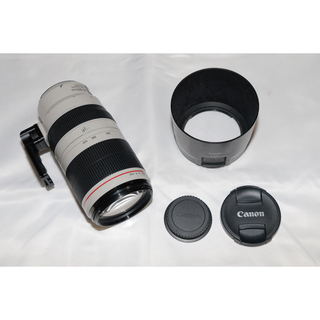 キヤノン(Canon)のキヤノン EF100-400 F4.5-5.6L IS II USM 使用感あり(レンズ(ズーム))