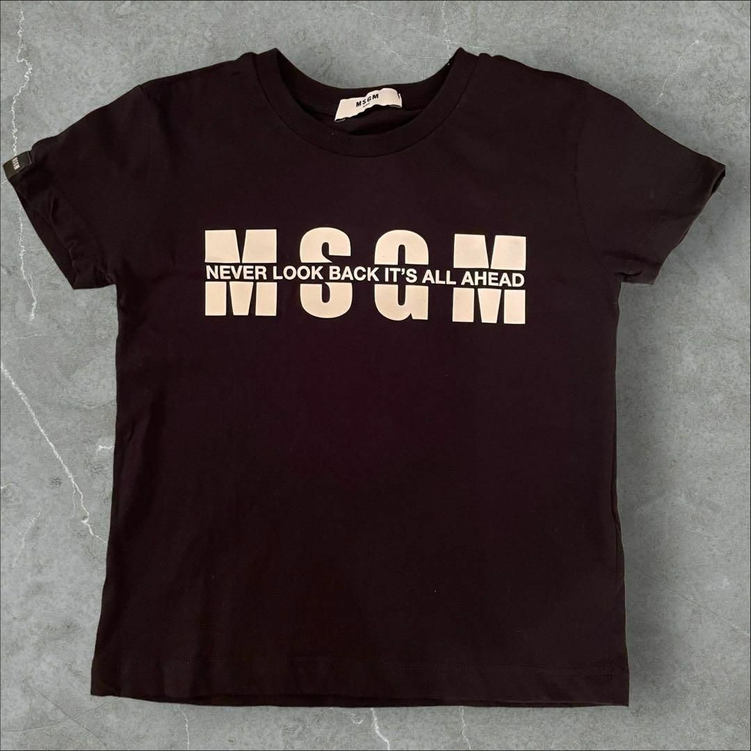 MSGM(エムエスジイエム)のエムエスジーエス MSGM バーバリー ファミリア Tシャツ 半袖 カットソー キッズ/ベビー/マタニティのキッズ服男の子用(90cm~)(Tシャツ/カットソー)の商品写真