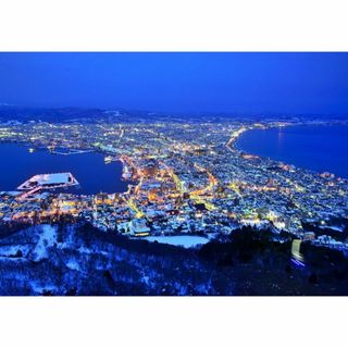 M54 函館山の夜景/北海道/日本の風景/アートパネル(絵画/タペストリー)