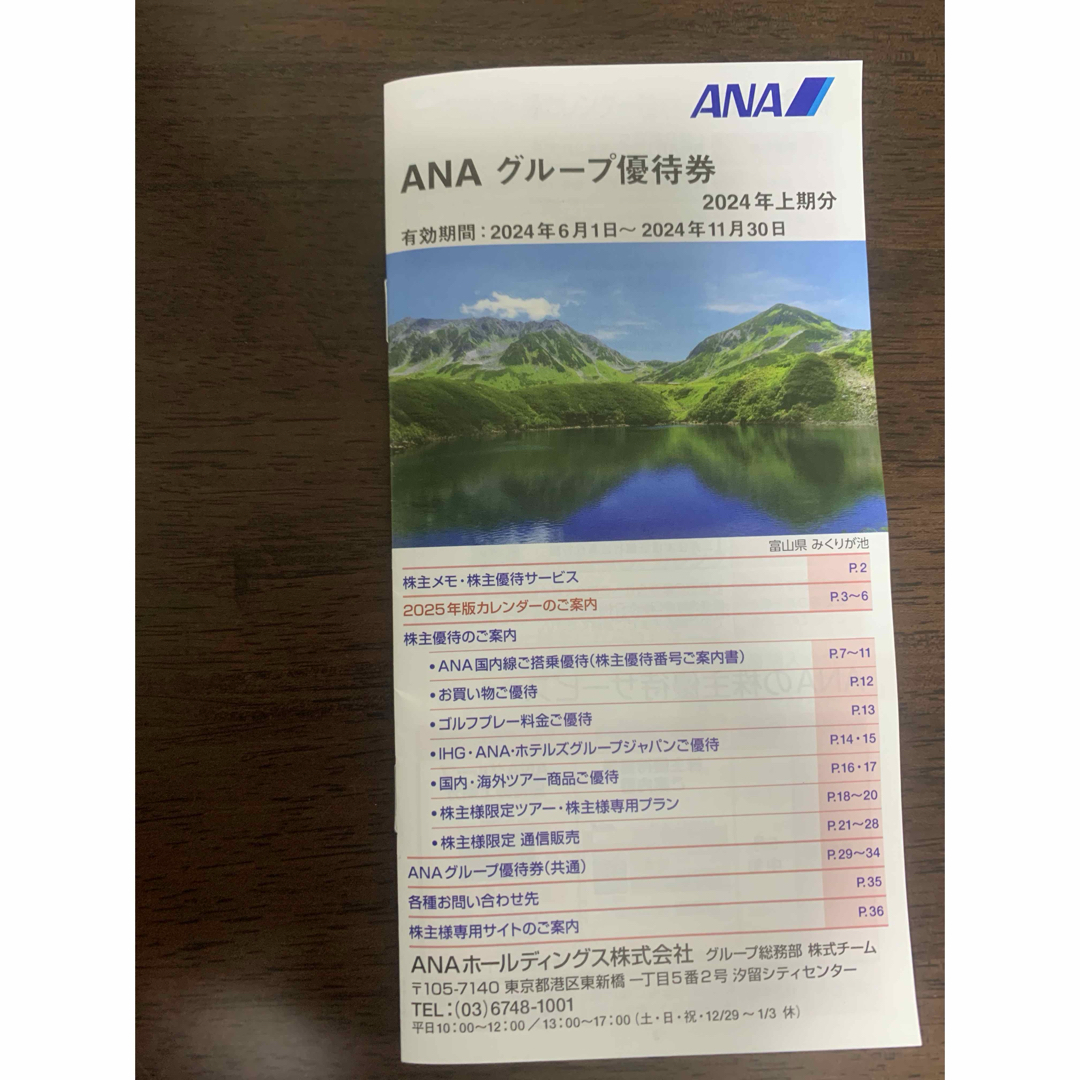 ANA(全日本空輸)(エーエヌエー(ゼンニッポンクウユ))のANA株主優待券1セットです。有効期限2024年6月1日～2025年5月31日 チケットの乗車券/交通券(航空券)の商品写真