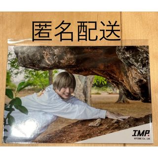 オリジナルフォトIMP. 佐藤新　写真(アイドルグッズ)