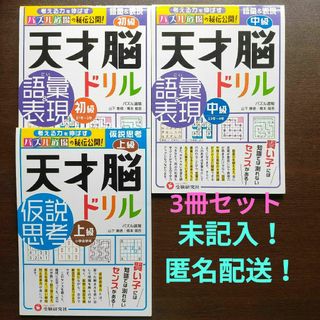 天才脳ドリル 語彙 初級・中級 仮説思考 上級 3冊セット