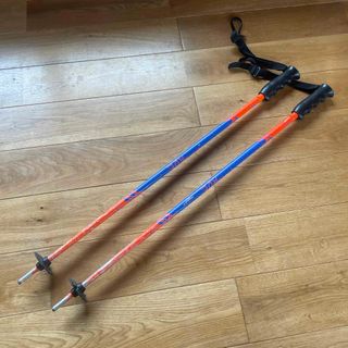 サロモン(SALOMON)のサロモン　ストック　80cm(ストック)