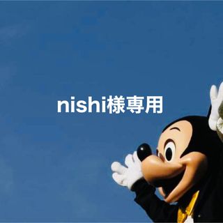 nishi様専用(イヤリング)