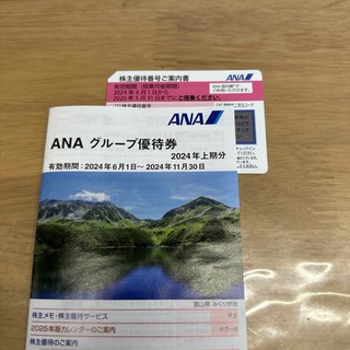 エーエヌエー(ゼンニッポンクウユ)(ANA(全日本空輸))のANA 株主優待券　1枚　優待冊子1冊(その他)