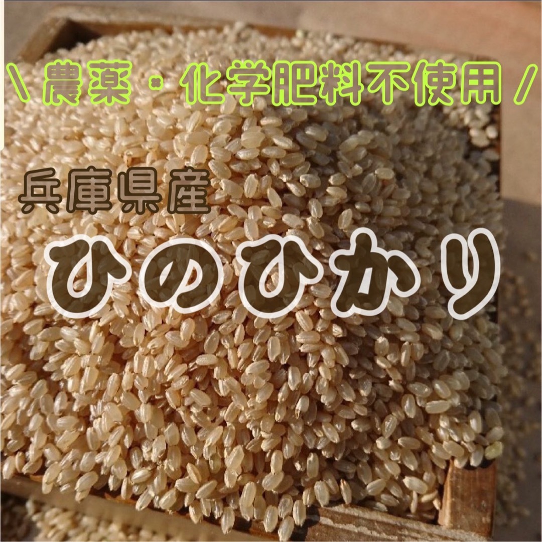 令和５年度収穫　兵庫県産　有機栽培　ひのひかり　玄米　10ｋｇ　農家直送 食品/飲料/酒の食品(米/穀物)の商品写真