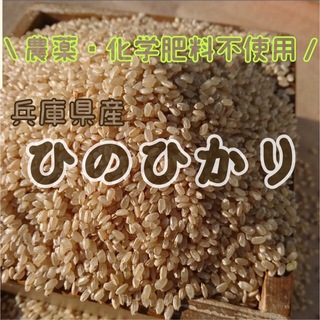 令和５年度収穫　兵庫県産　有機栽培　ひのひかり　玄米　１ｋｇ　農家直送(米/穀物)