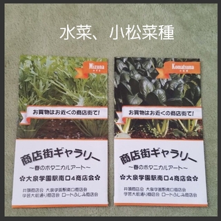 水菜、小松菜種※プロフ必読(野菜)