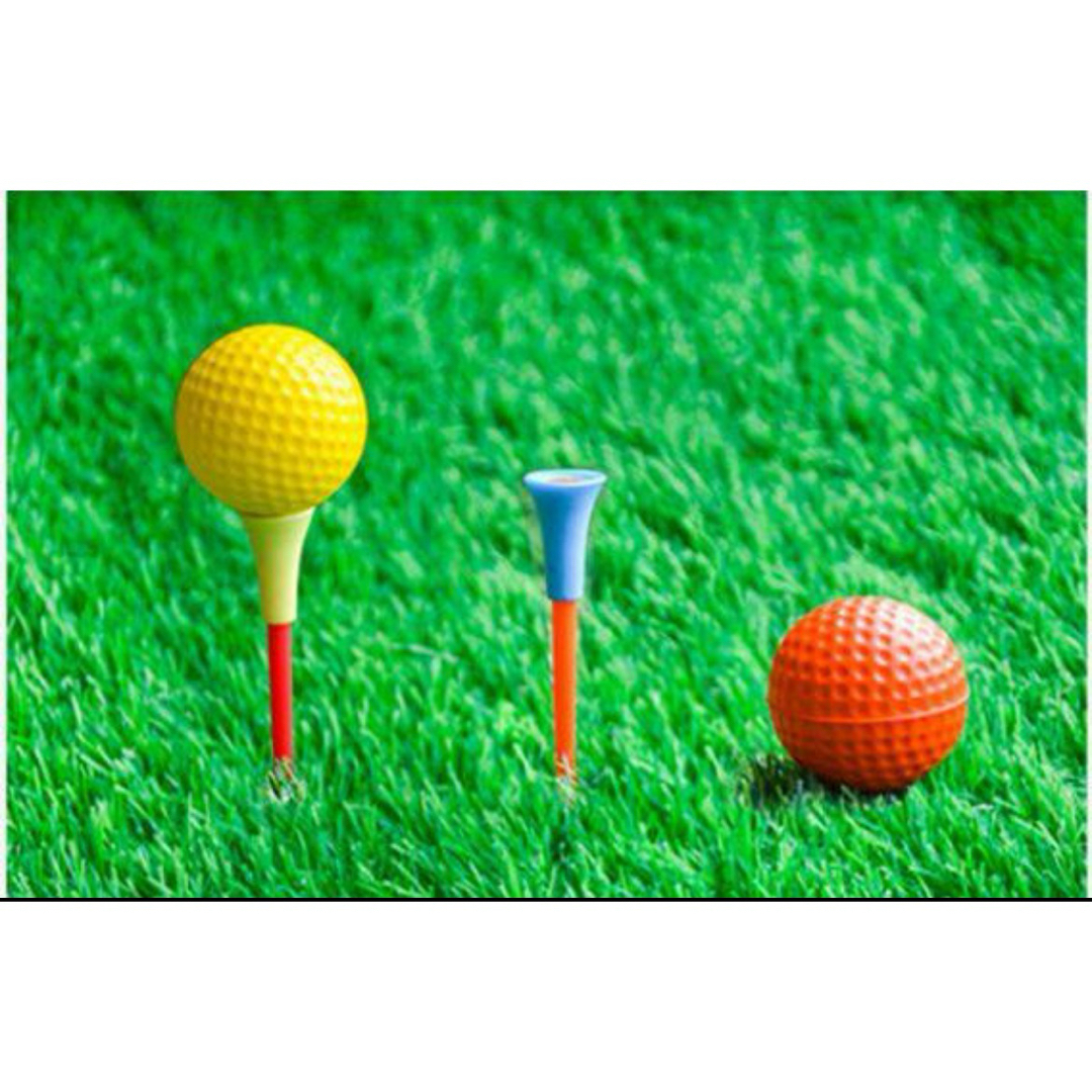 新品　ゴルフティー　ショートティ10本　ロングティー10本　ゴルフ スポーツ/アウトドアのゴルフ(その他)の商品写真