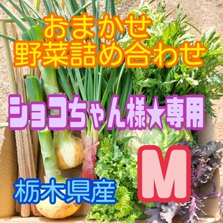 【ショコちゃん様★専用】おまかせ野菜詰め合わせBOX【M】(野菜)