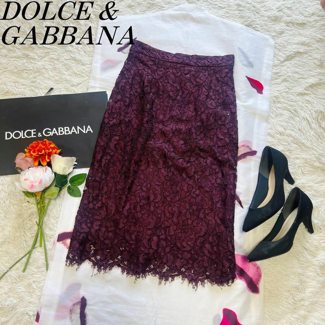 DOLCE&GABBANA(ドルチェアンドガッバーナ)の【美品】DOLCE&GABBANA 総レーススカート パープル 40 膝丈 レディースのスカート(ひざ丈スカート)の商品写真