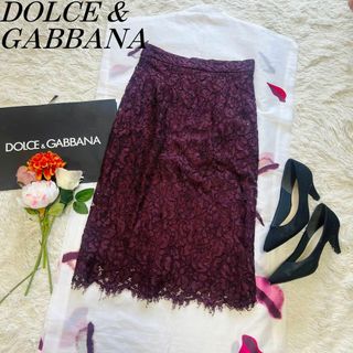 【美品】DOLCE&GABBANA 総レーススカート パープル 40 膝丈