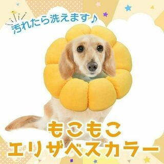 【新品】エリザベスカラー 犬猫用 (S イエロー)(犬)