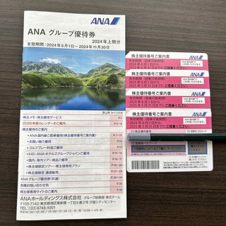 エーエヌエー(ゼンニッポンクウユ)(ANA(全日本空輸))のANA優待券と冊子(航空券)