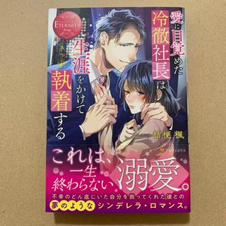 愛に目覚めた冷徹社長は生涯をかけて執着する(文学/小説)