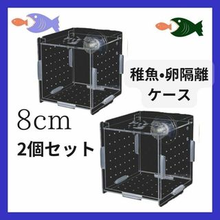 2個セット 隔離ケース稚魚隔離飼育観察８cm角産卵繁殖　熱帯魚(アクアリウム)