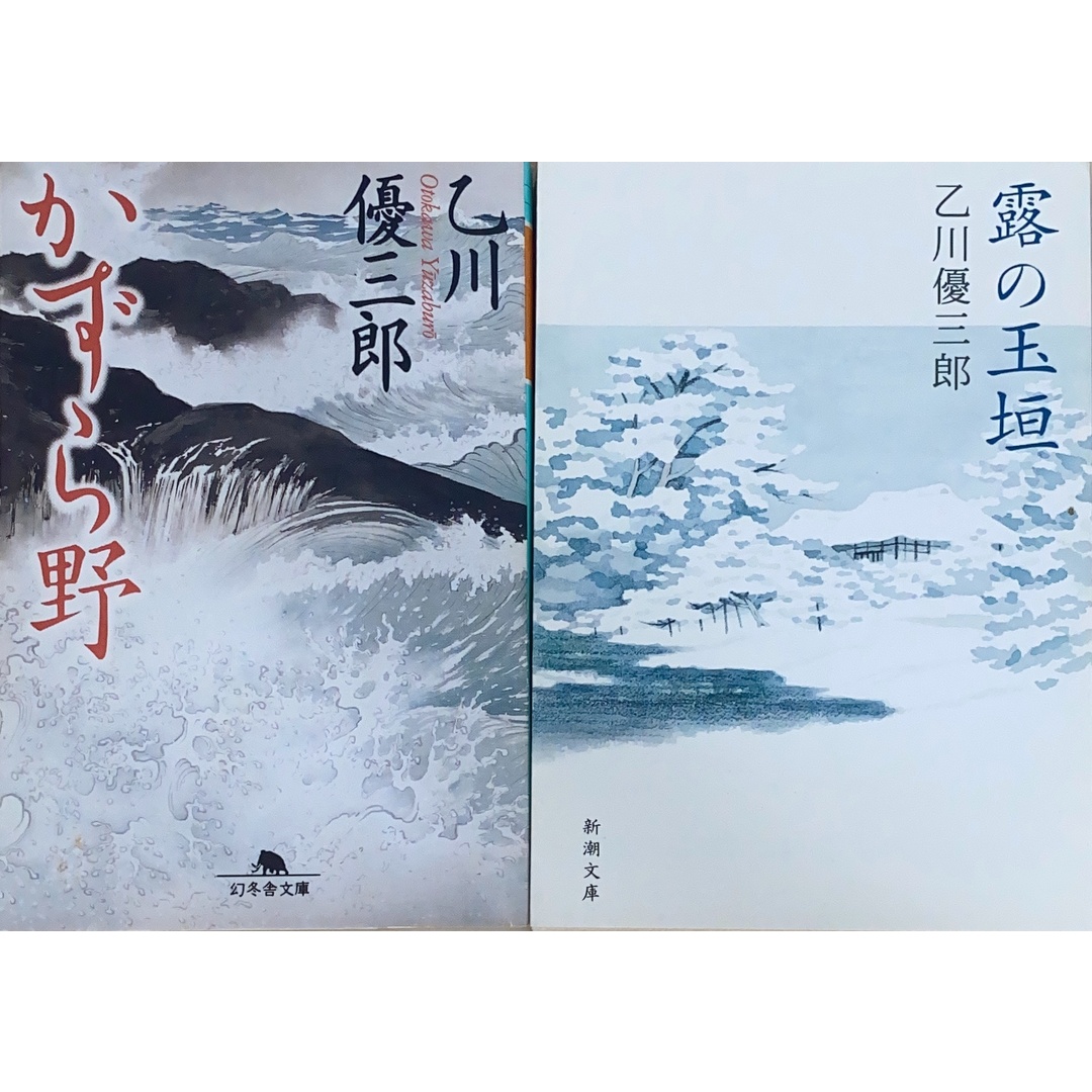 ［中古］乙川優三郎2冊セット（かずら野／露の玉垣）　管理番号：20240516-3-SET エンタメ/ホビーの本(その他)の商品写真