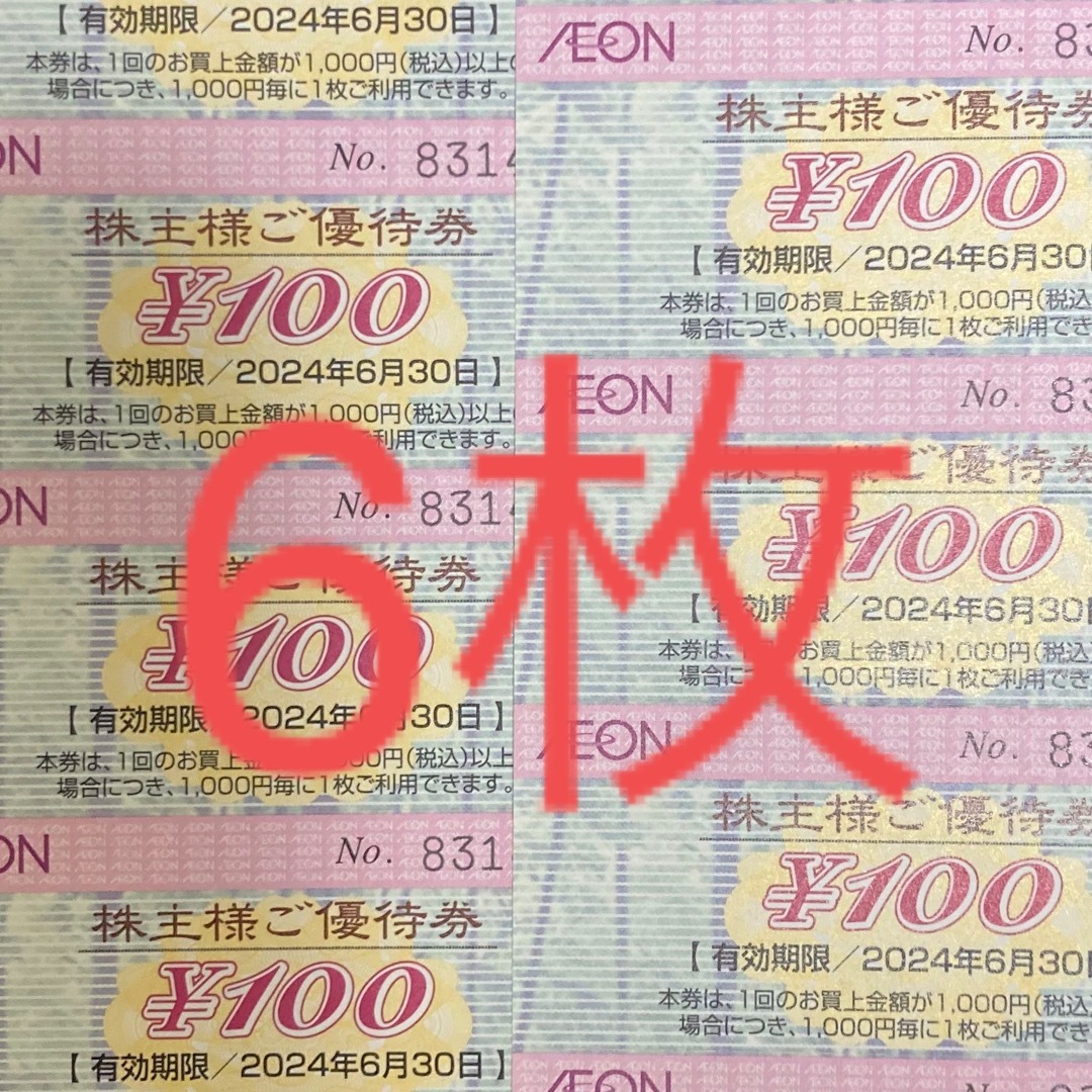 イオン 株主優待券 100円券 6枚　株主様ご優待　マックスバリュ チケットの優待券/割引券(ショッピング)の商品写真