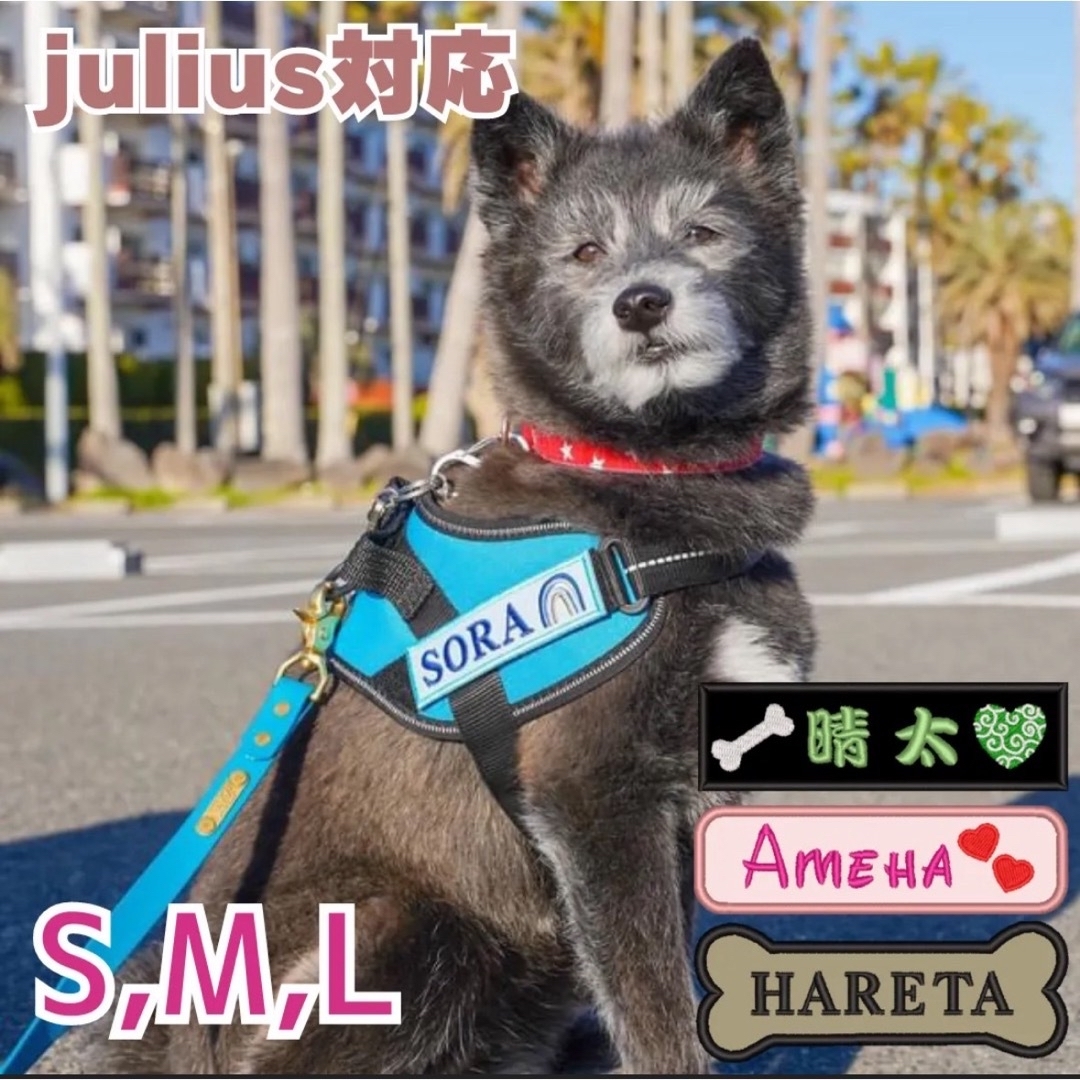 愛犬 ユリウス 刺繍ワッペン ネームタグ 刺繍 juliusユリウスk9 対応  その他のペット用品(犬)の商品写真