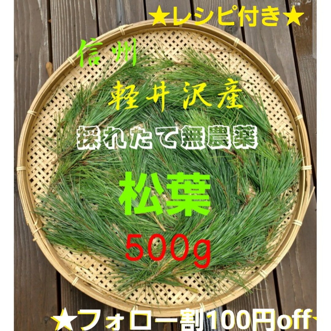 採れたて新鮮♪︎信州軽井沢産 上質赤松松の葉500g 松葉茶松ジュース 松葉 食品/飲料/酒の食品(野菜)の商品写真