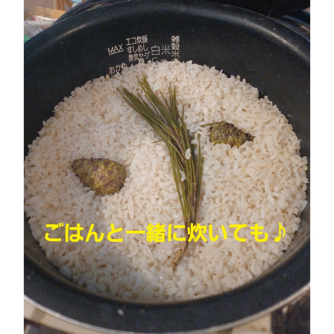 採れたて新鮮♪︎信州軽井沢産 上質赤松松の葉500g 松葉茶松ジュース 松葉 食品/飲料/酒の食品(野菜)の商品写真