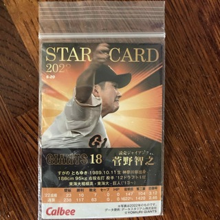 プロ野球カード　2023 菅野智之　スターカード(記念品/関連グッズ)