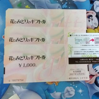 花とみどりのギフト券 3000円分(その他)