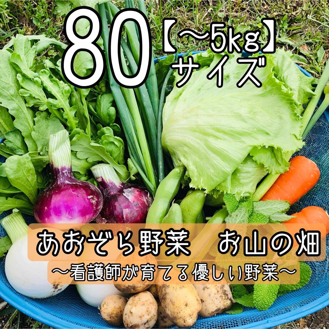 【80サイズ／常温】たっぷり野菜　採れたて野菜詰め合わせ　採れたて野菜 食品/飲料/酒の食品(野菜)の商品写真