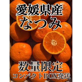 愛媛県産 ミカン なつみ コンパクトボックス 柑橘 みかん 果物(フルーツ)