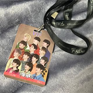 セブンティーン(SEVENTEEN)のseventeen follow to seoul ソウルコン VIPPASS (アイドルグッズ)