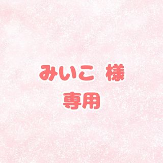 みいこ様専用 婚姻届 提出2(その他)