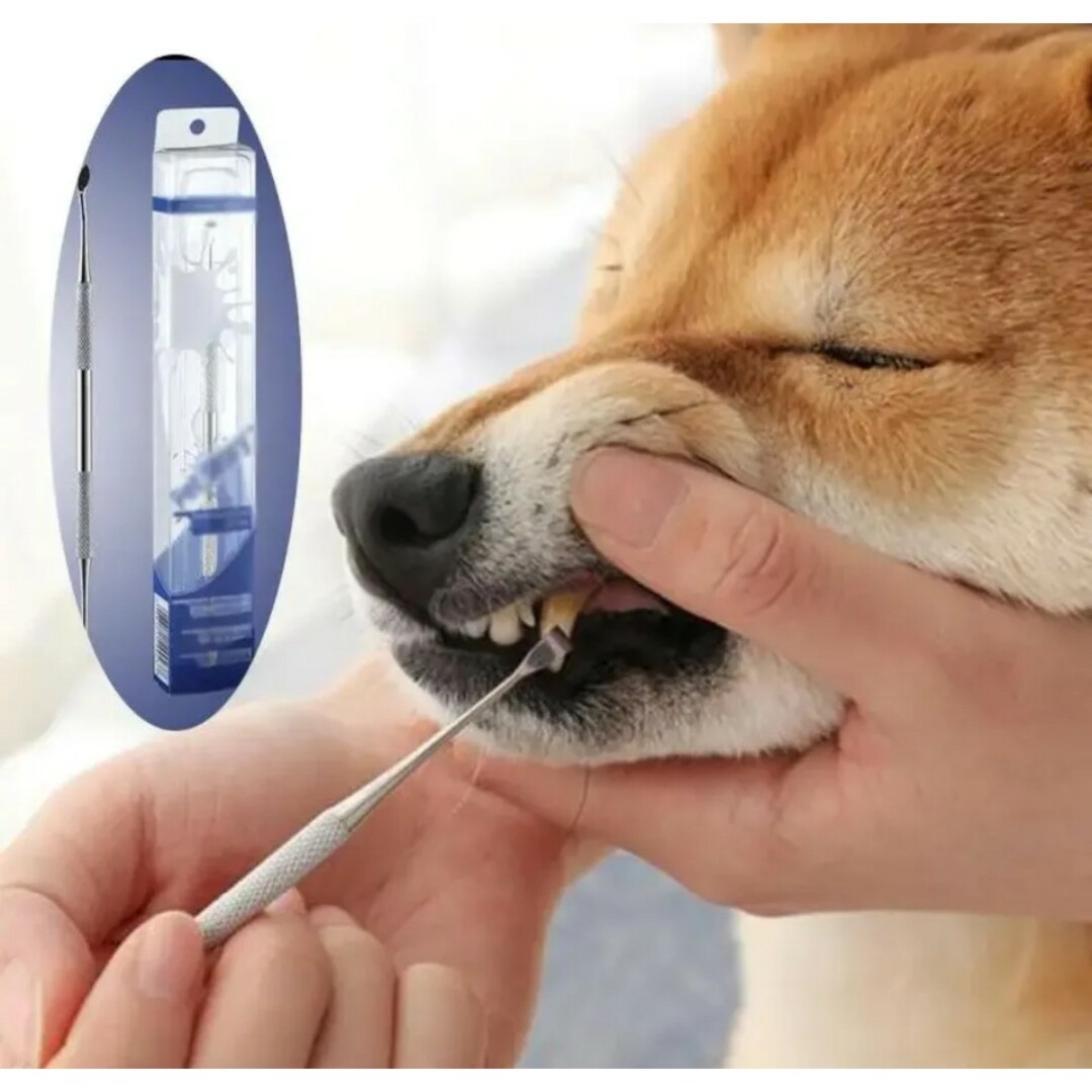 ペット用 スケーラー 犬 猫 ネコ 歯石除去 歯ブラシ 歯周病 虫歯予防 歯科 その他のペット用品(犬)の商品写真