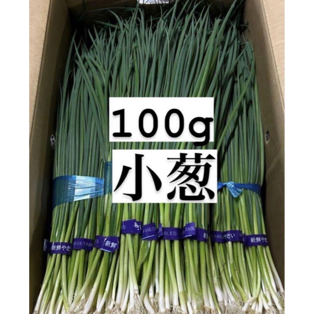 福岡県産　青ネギ　100g  食品/飲料/酒の食品(野菜)の商品写真