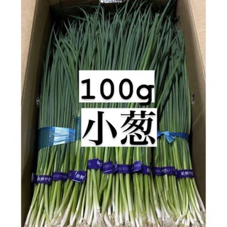 福岡県産　青ネギ　100g (野菜)